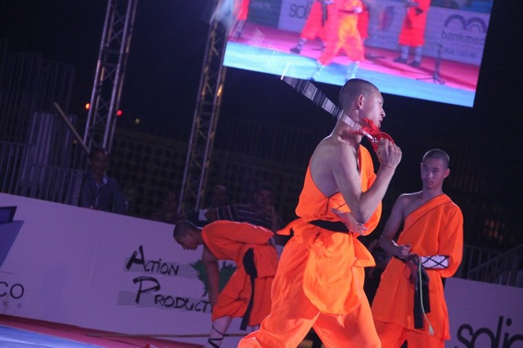 Martial Arts Festival